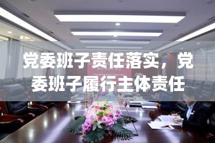 黨委班子責(zé)任落實(shí)，黨委班子履行主體責(zé)任的建議 