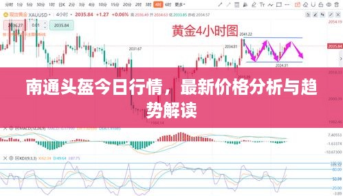 南通頭盔今日行情，最新價(jià)格分析與趨勢(shì)解讀