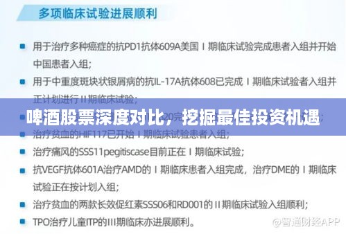 啤酒股票深度對(duì)比，挖掘最佳投資機(jī)遇