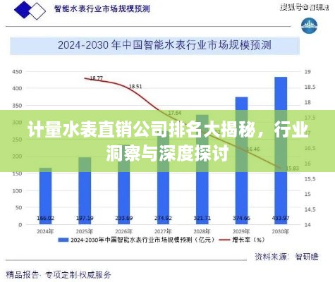 計(jì)量水表直銷公司排名大揭秘，行業(yè)洞察與深度探討