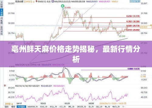 亳州鮮天麻價格走勢揭秘，最新行情分析