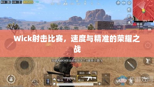 Wick射擊比賽，速度與精準(zhǔn)的榮耀之戰(zhàn)