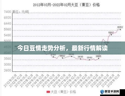 今日豆情走勢(shì)分析，最新行情解讀