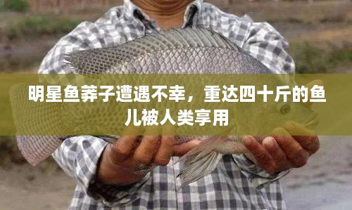 明星魚莽子遭遇不幸，重達(dá)四十斤的魚兒被人類享用