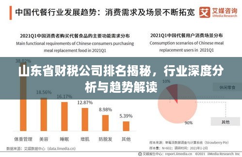山東省財稅公司排名揭秘，行業(yè)深度分析與趨勢解讀