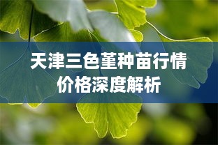 天津三色堇種苗行情價格深度解析