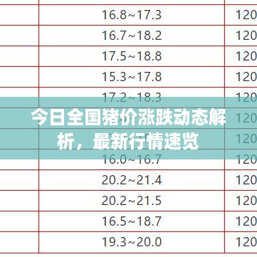 今日全國豬價漲跌動態(tài)解析，最新行情速覽