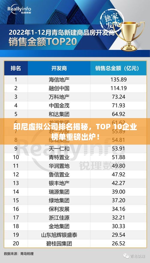 印尼虛擬公司排名揭秘，TOP 10企業(yè)榜單重磅出爐！