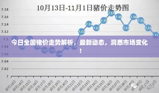 今日全國豬價(jià)走勢解析，最新動(dòng)態(tài)，洞悉市場變化！