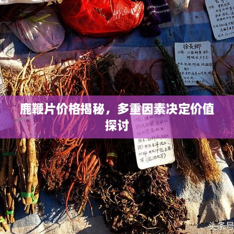 鹿鞭片價格揭秘，多重因素決定價值探討