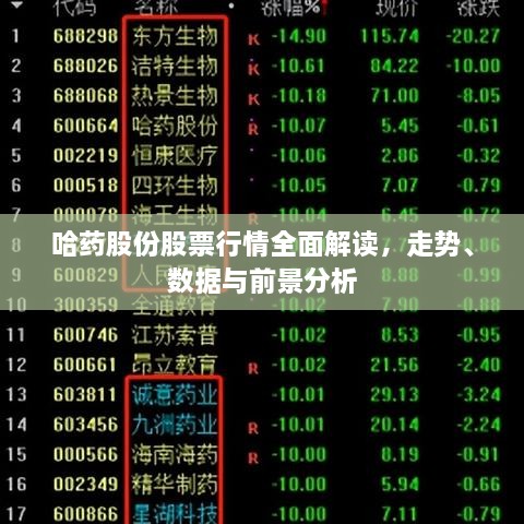 哈藥股份股票行情全面解讀，走勢、數(shù)據(jù)與前景分析