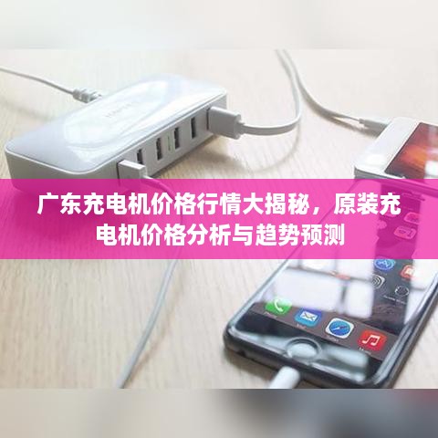 廣東充電機價格行情大揭秘，原裝充電機價格分析與趨勢預(yù)測