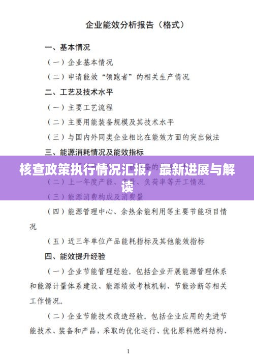 核查政策執(zhí)行情況匯報(bào)，最新進(jìn)展與解讀