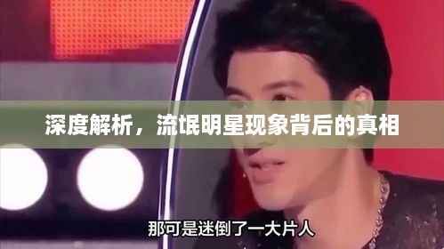 深度解析，流氓明星現(xiàn)象背后的真相