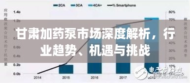 甘肅加藥泵市場深度解析，行業(yè)趨勢、機遇與挑戰(zhàn)