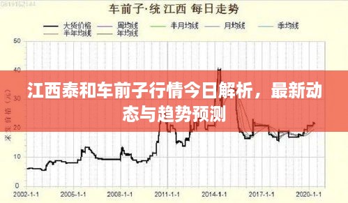 江西泰和車前子行情今日解析，最新動態(tài)與趨勢預測