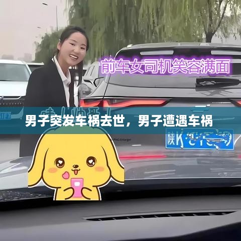 男子突發(fā)車禍去世，男子遭遇車禍 