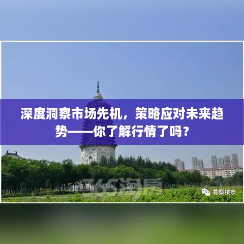 深度洞察市場先機(jī)，策略應(yīng)對未來趨勢——你了解行情了嗎？