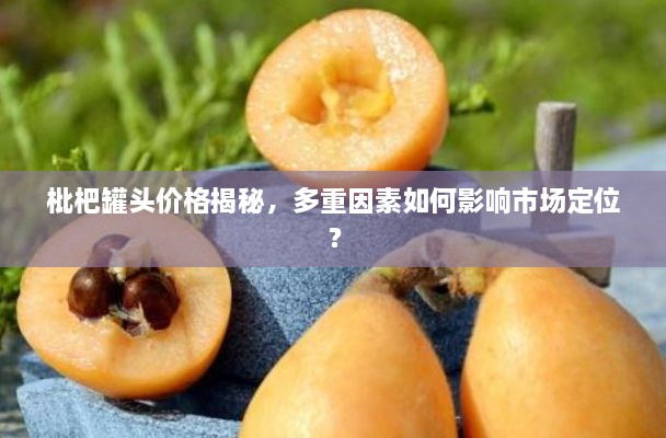 枇杷罐頭價(jià)格揭秘，多重因素如何影響市場(chǎng)定位？