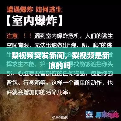 梨視頻突發(fā)新聞，梨視頻是新浪的嗎 