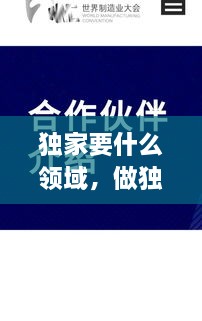 獨(dú)家要什么領(lǐng)域，做獨(dú)家代理有什么要求 