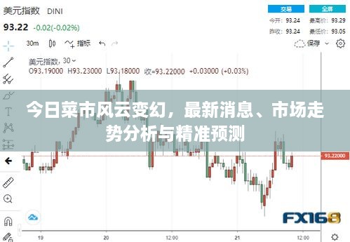 今日菜市風云變幻，最新消息、市場走勢分析與精準預測