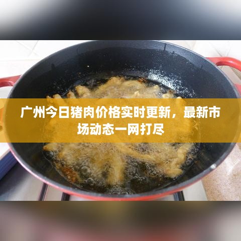 廣州今日豬肉價(jià)格實(shí)時(shí)更新，最新市場(chǎng)動(dòng)態(tài)一網(wǎng)打盡