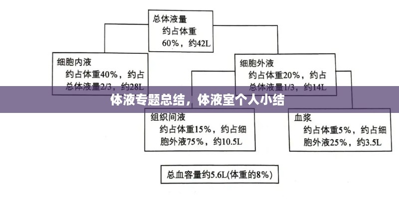 體液專題總結(jié)，體液室個(gè)人小結(jié) 