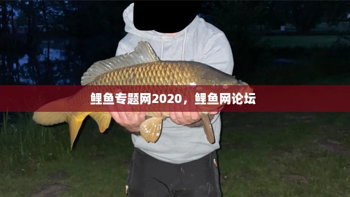 鯉魚專題網(wǎng)2020，鯉魚網(wǎng)論壇 