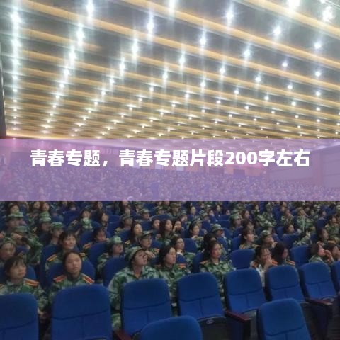 青春專題，青春專題片段200字左右 