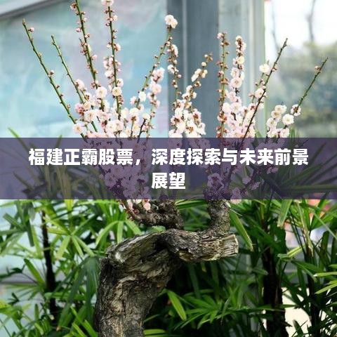福建正霸股票，深度探索與未來前景展望