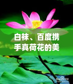飛天遁地