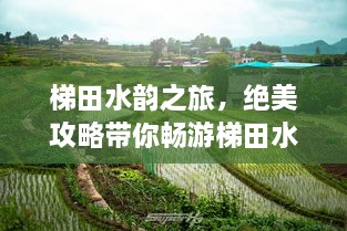梯田水韻之旅，絕美攻略帶你暢游梯田水鄉(xiāng)