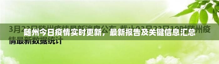 隨州今日疫情實(shí)時(shí)更新，最新報(bào)告及關(guān)鍵信息匯總