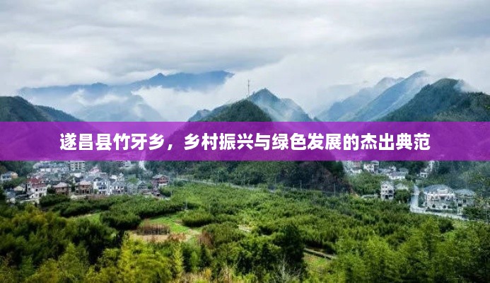 遂昌縣竹牙鄉(xiāng)，鄉(xiāng)村振興與綠色發(fā)展的杰出典范