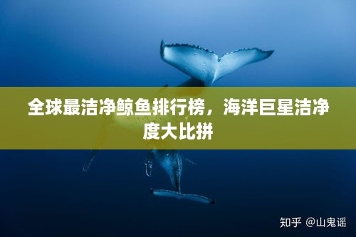 全球最潔凈鯨魚排行榜，海洋巨星潔凈度大比拼