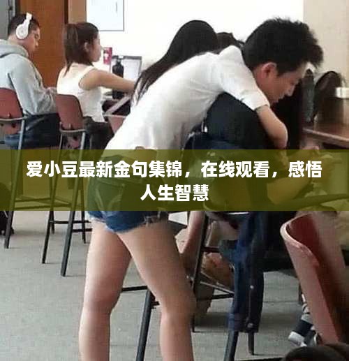 愛小豆最新金句集錦，在線觀看，感悟人生智慧