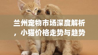 蘭州寵物市場深度解析，小貓價格走勢與趨勢探尋