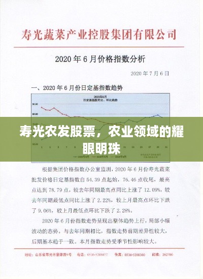 壽光農(nóng)發(fā)股票，農(nóng)業(yè)領域的耀眼明珠