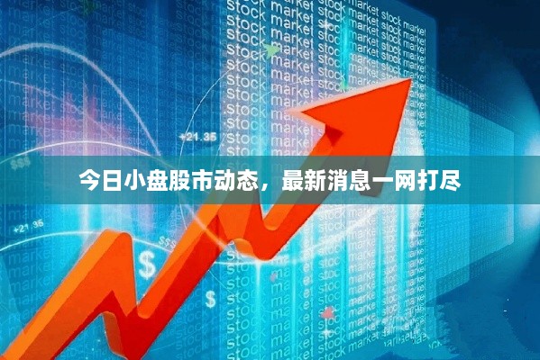 今日小盤股市動態(tài)，最新消息一網打盡