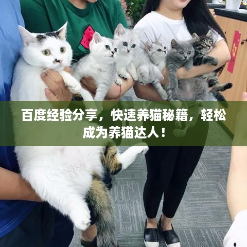 百度經(jīng)驗(yàn)分享，快速養(yǎng)貓秘籍，輕松成為養(yǎng)貓達(dá)人！