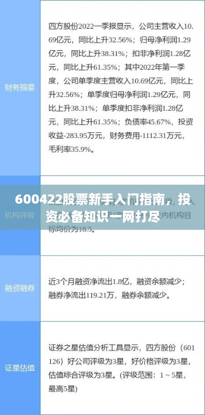 600422股票新手入門指南，投資必備知識一網(wǎng)打盡