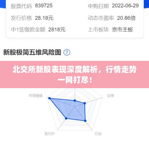 北交所新股表現(xiàn)深度解析，行情走勢一網(wǎng)打盡！